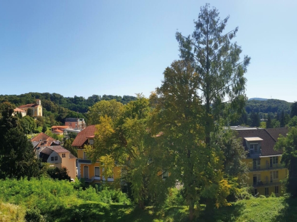 Ausblick
