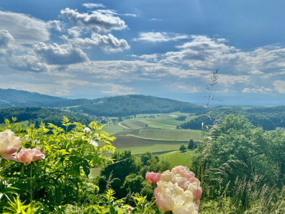 Ausblick