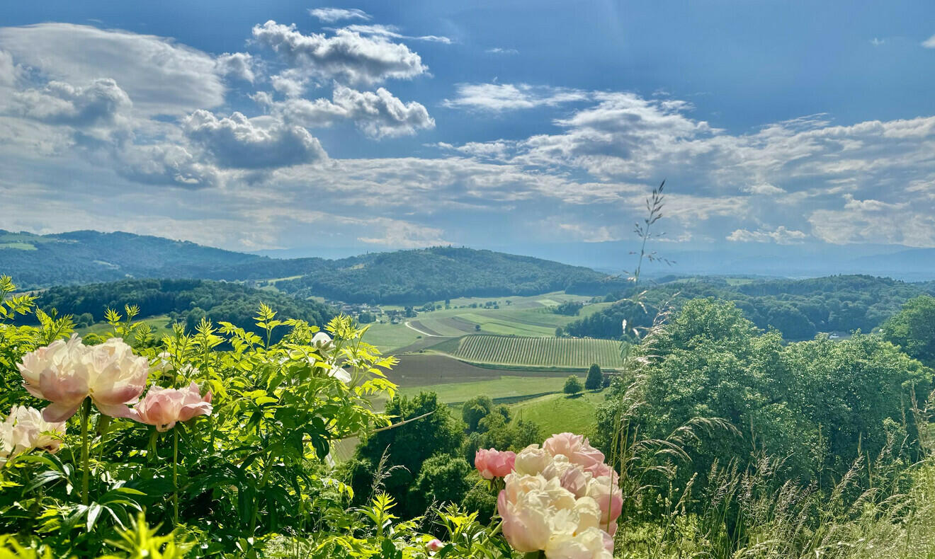Ausblick Ausblick