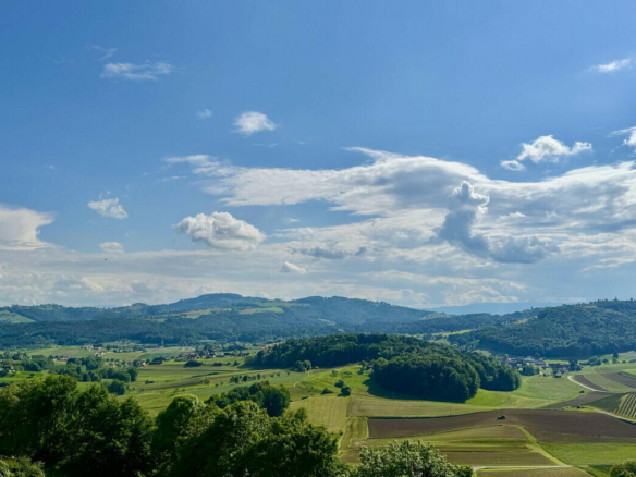 Ausblick_2