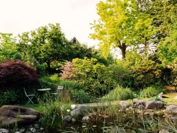 Garten-8