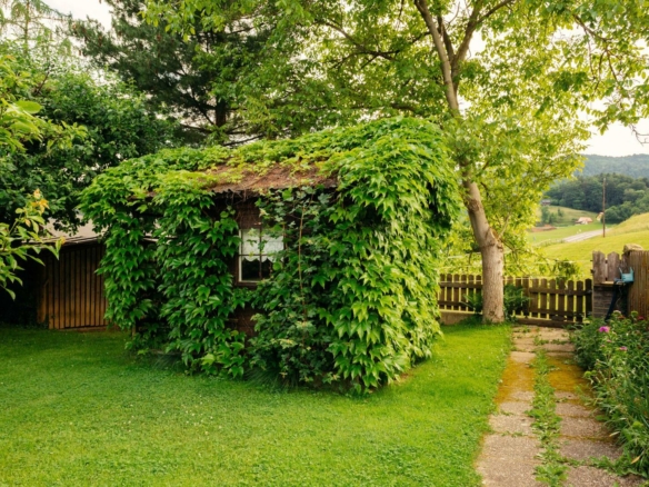 Garten-5