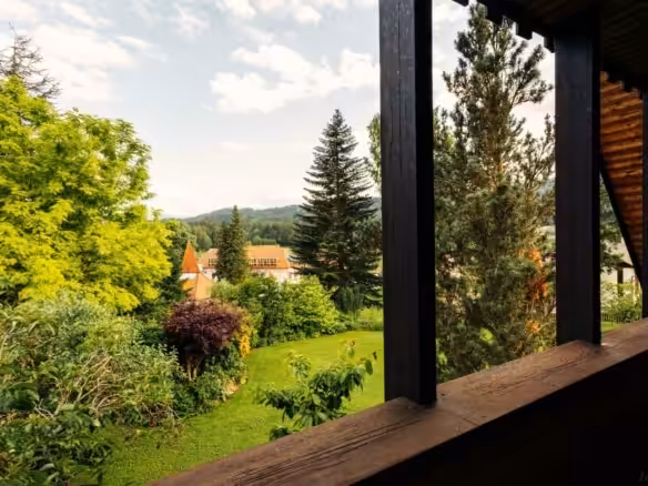 Blick in Garten -2