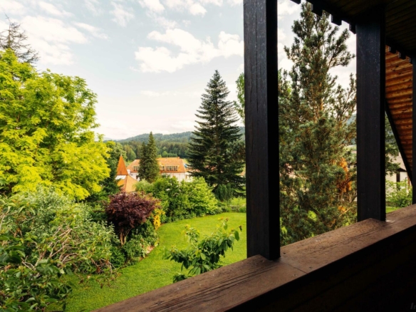 Blick in Garten -2
