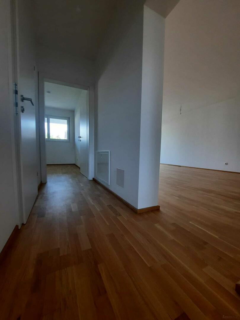 Zimmer