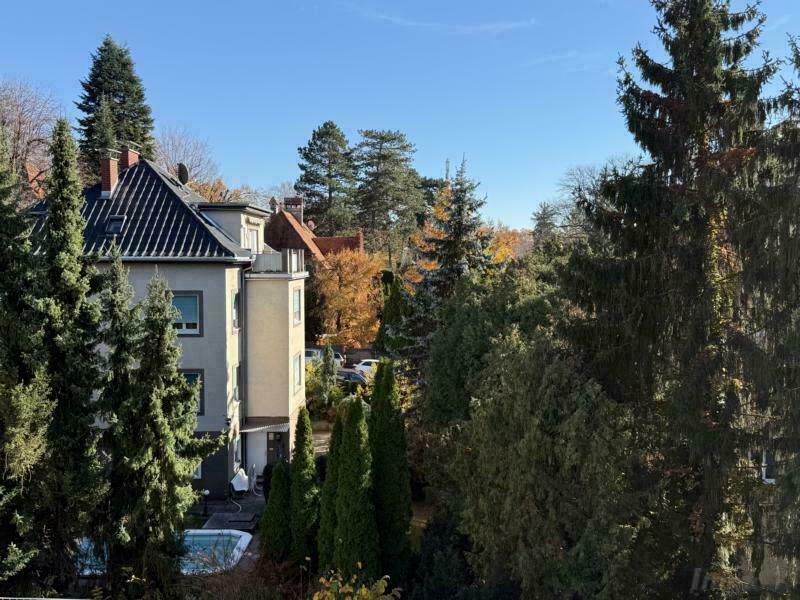 Grünblick