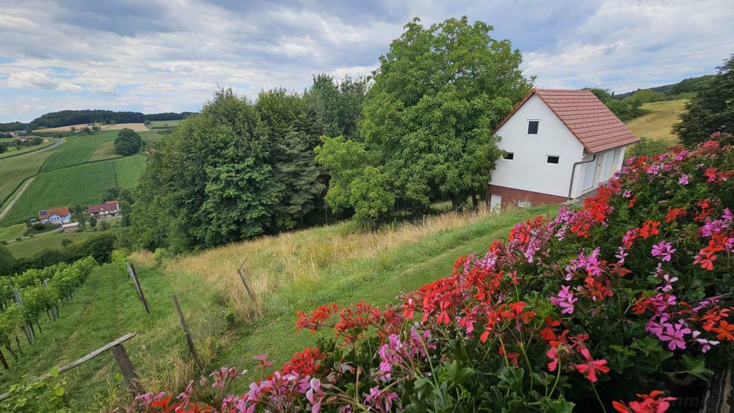 Aussicht