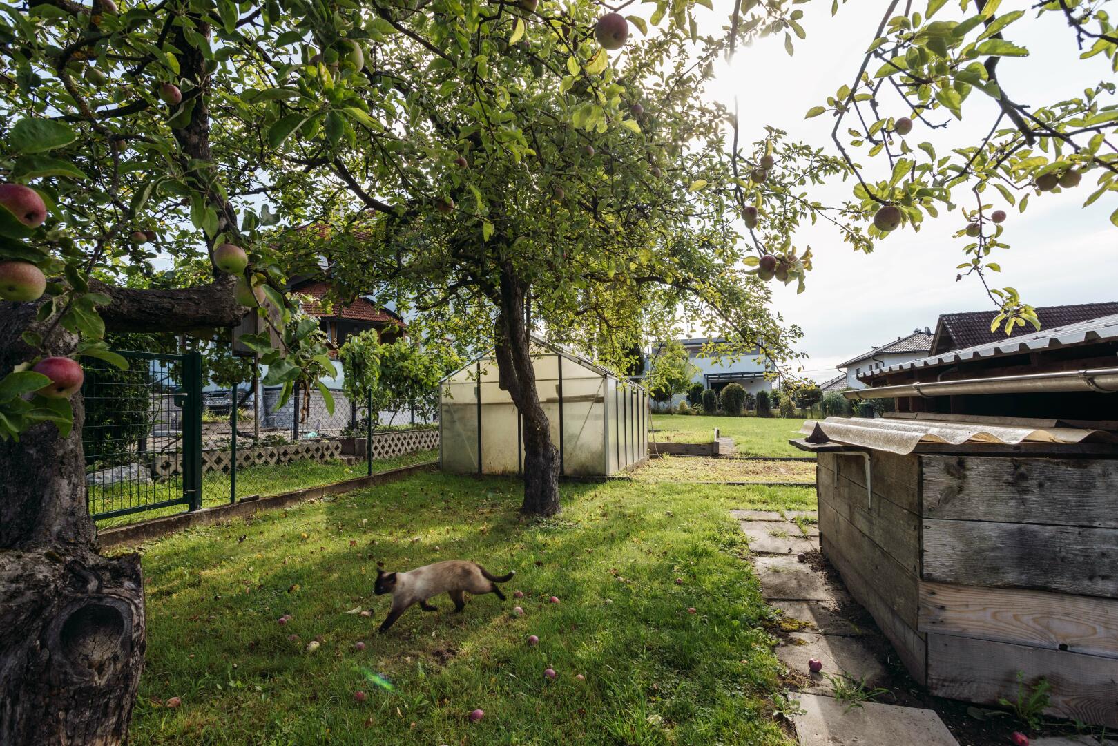 Garten