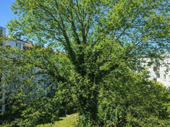 Sommeransicht_2