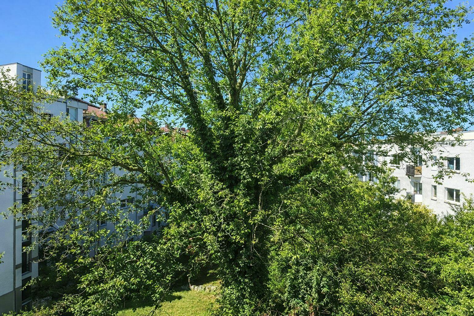 Sommeransicht_2