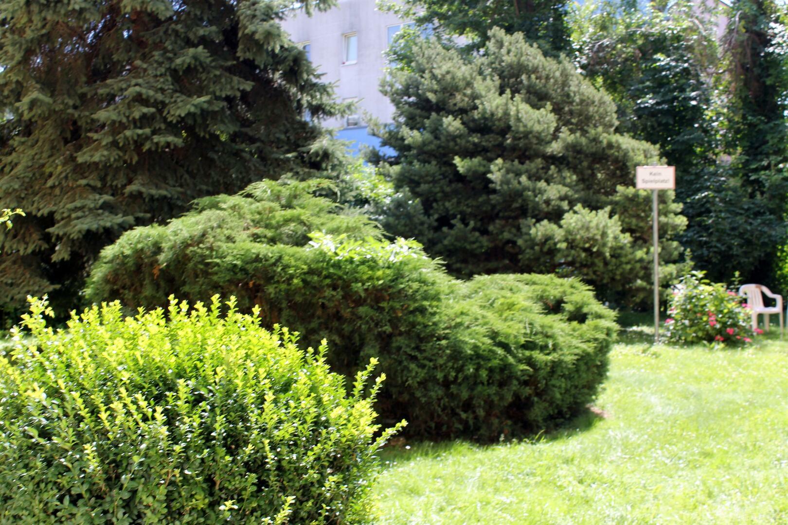 Allgemeingarten