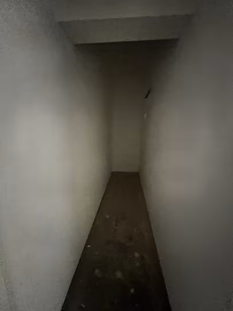 20240527_115103548_iOS