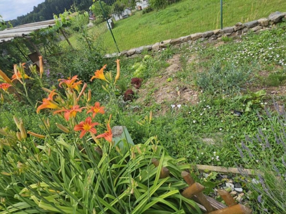 Impression Garten