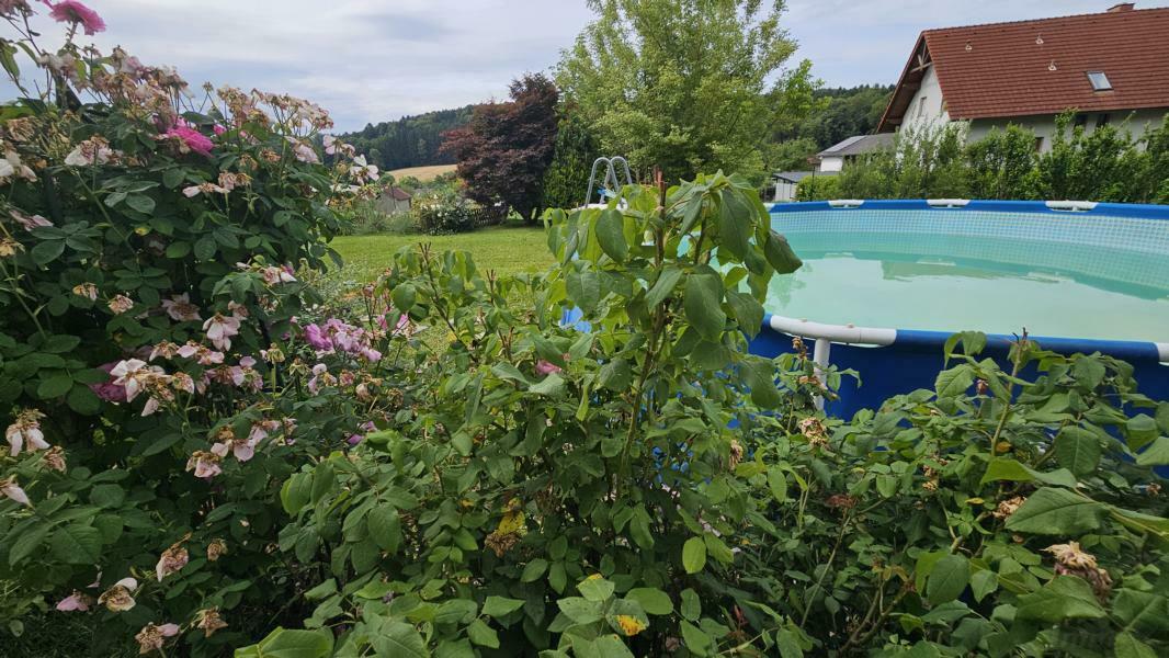 Impression Garten