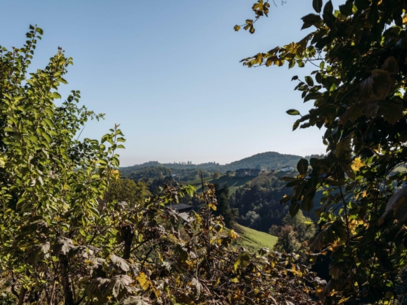 Aussicht