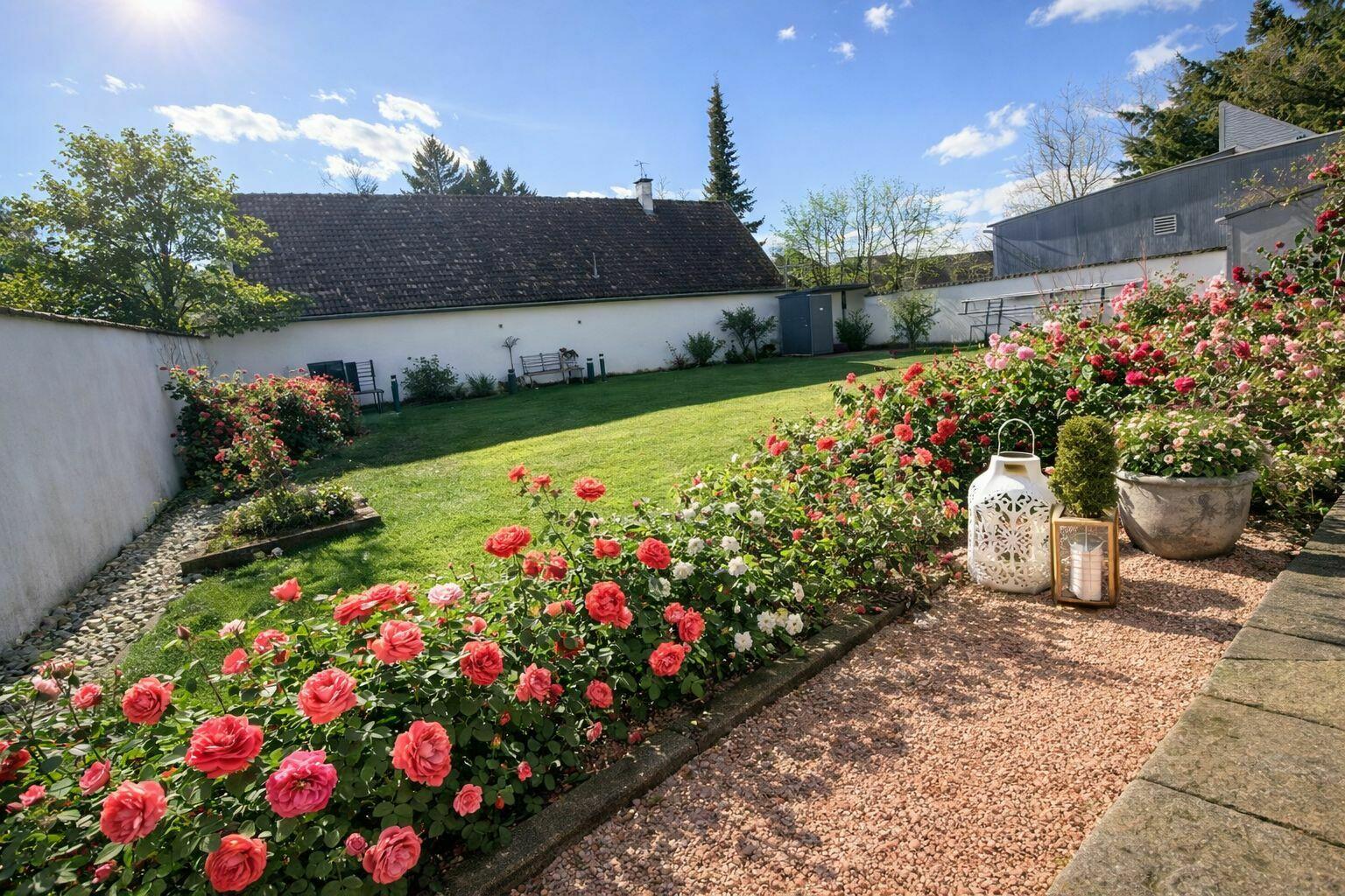 Süd-Terrasse 3