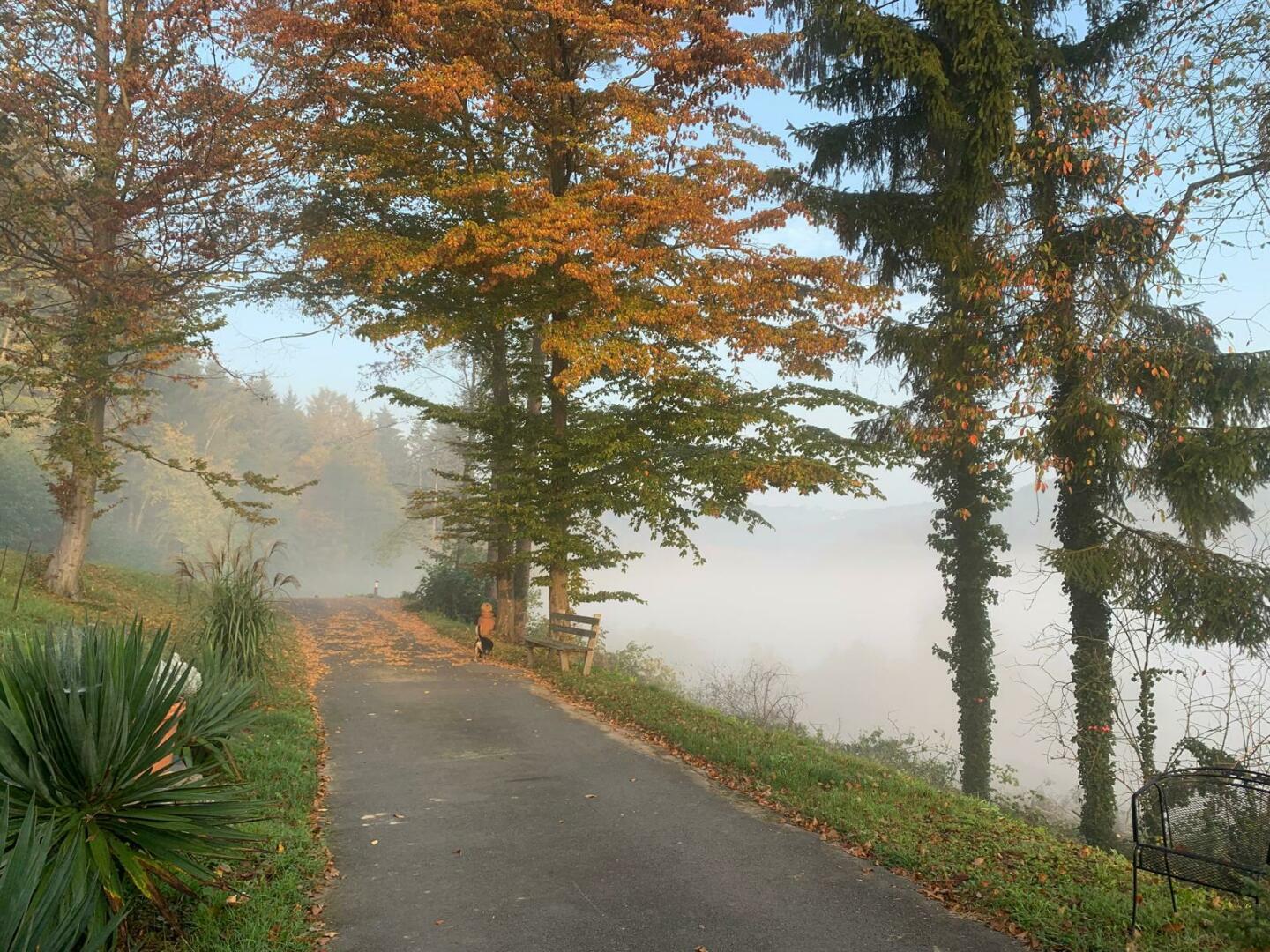 Impressionen