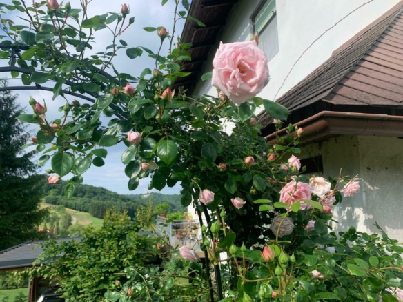 Impressionen