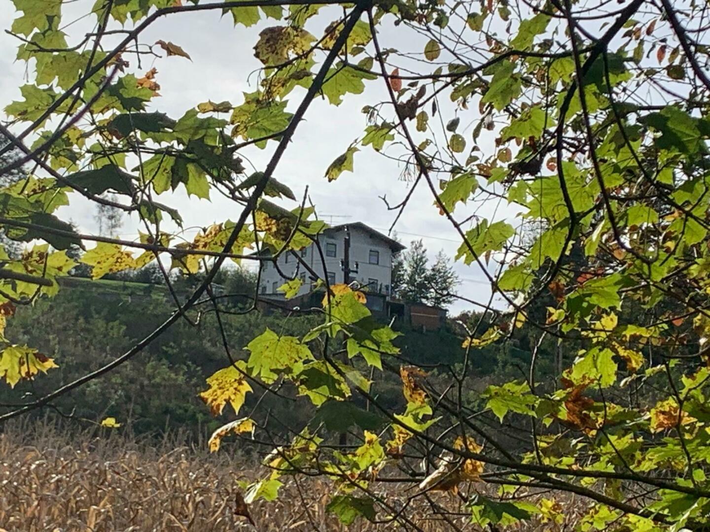 Impressionen