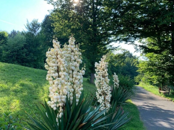 Impressionen