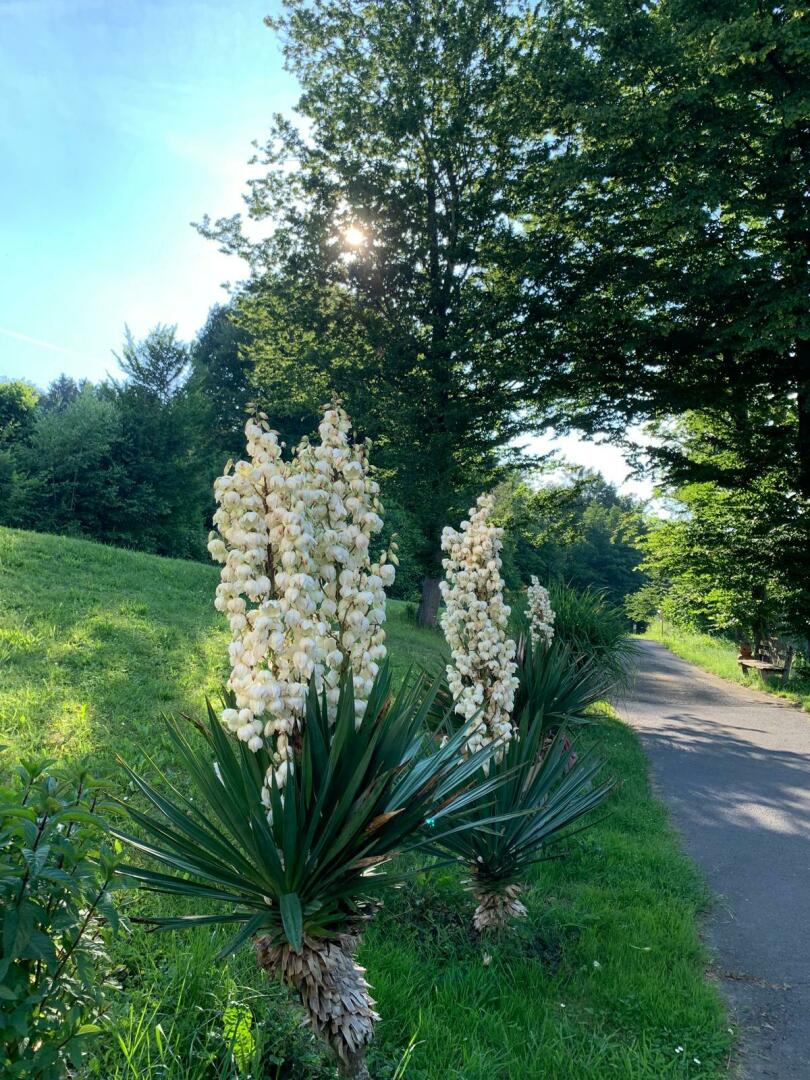 Impressionen