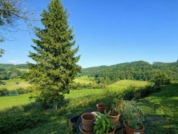 Aussicht 1