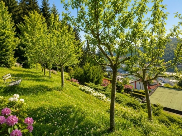 Ansicht Garten 1