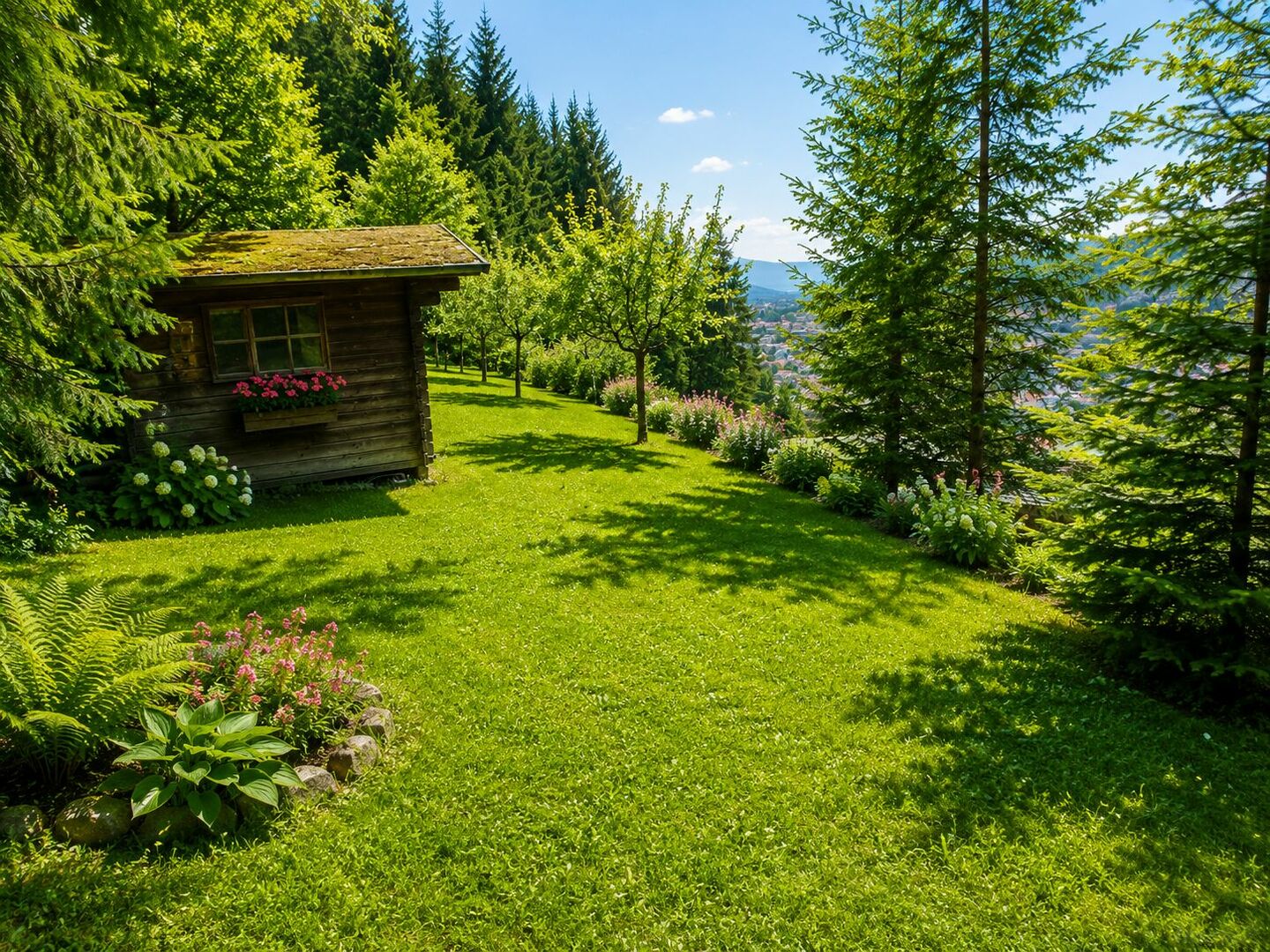 Sommeridyll mit Wald und Wiese
