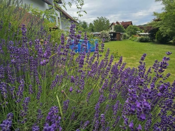 Impression Garten