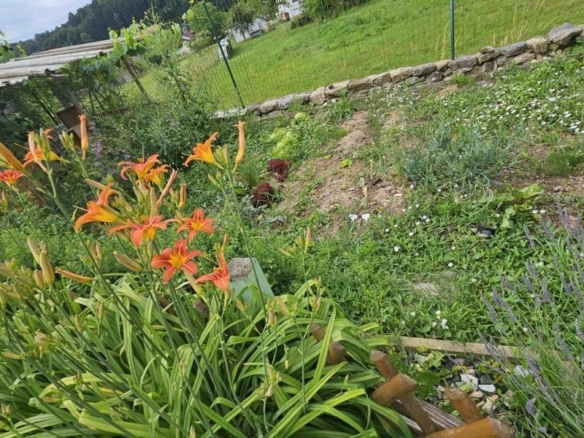 Impression Garten