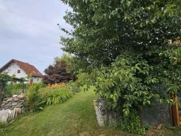 Impression Garten