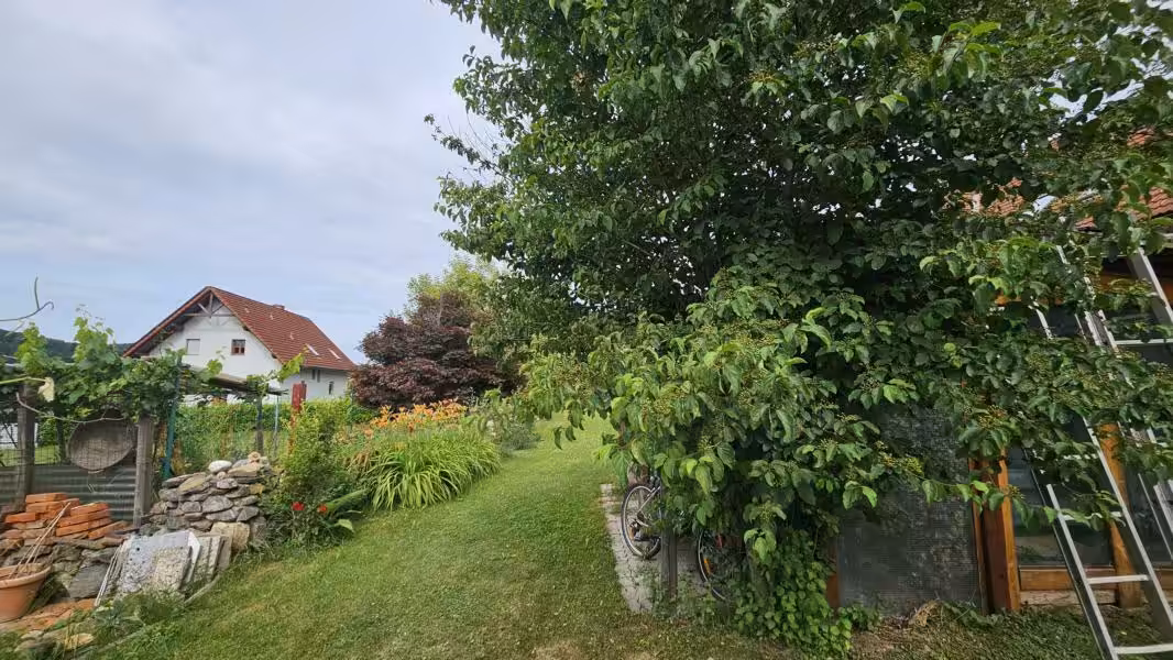 Impression Garten