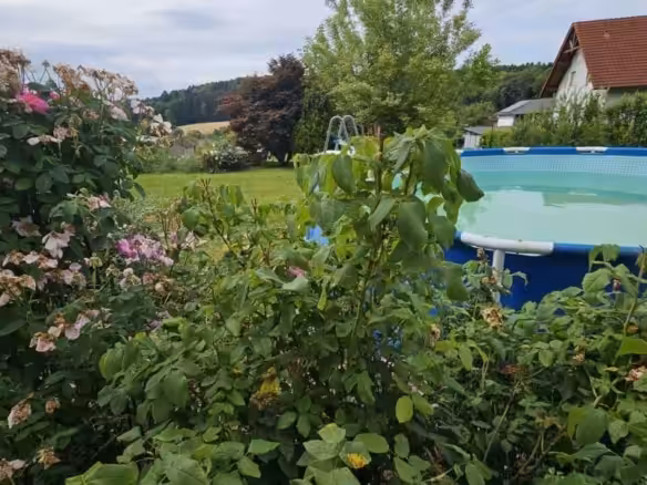 Impression Garten