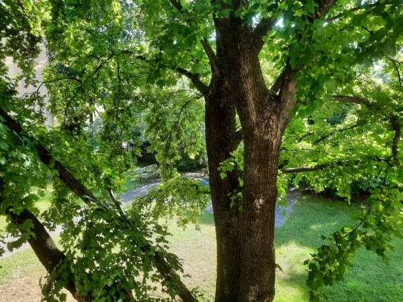 Grünblick