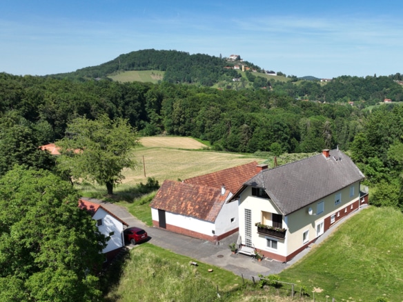 Ansicht-mit-Schloss_Kapfentstein