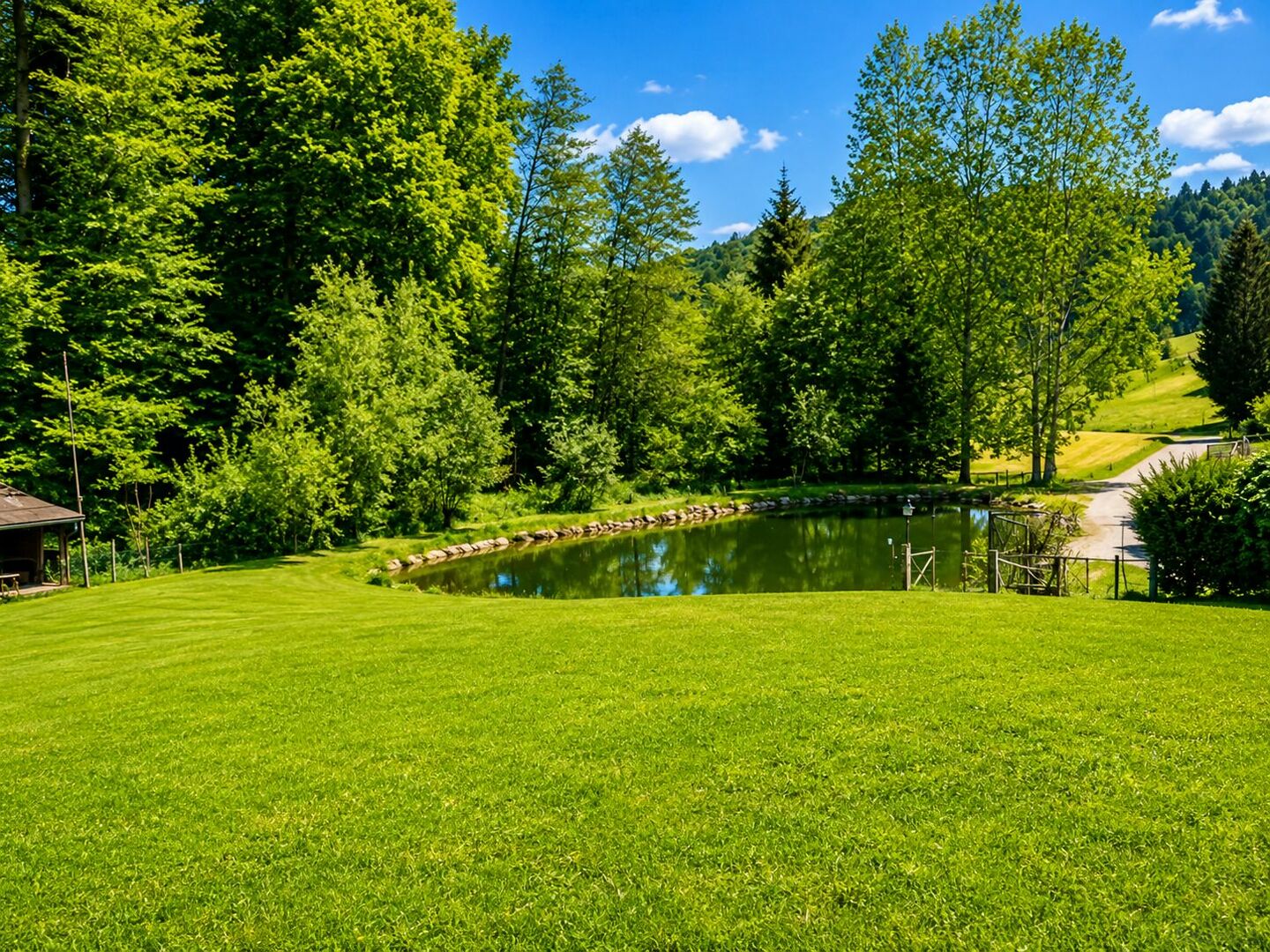 Blick zu Teich