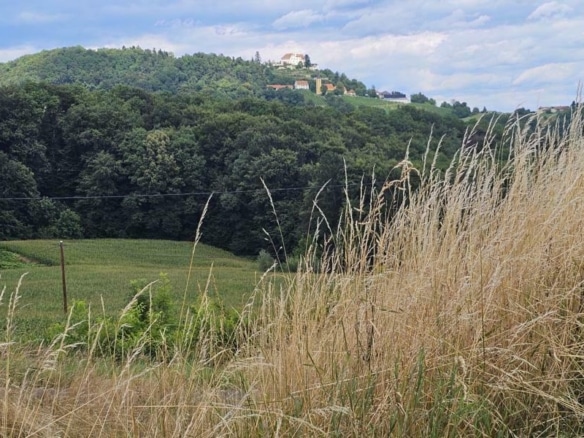 Impressionen