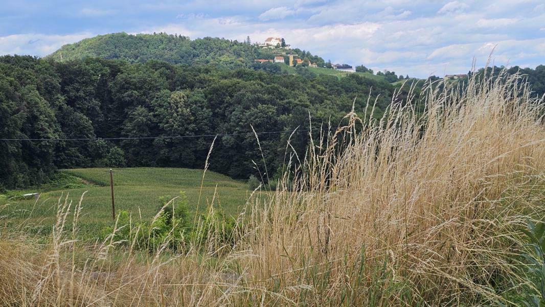 Impressionen