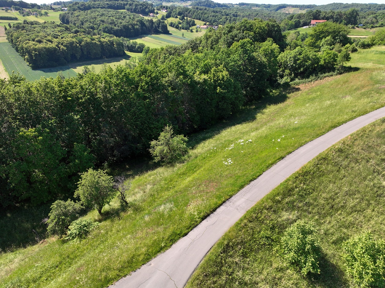 Blick zur eigenen Wiese und zum eigenem Wald