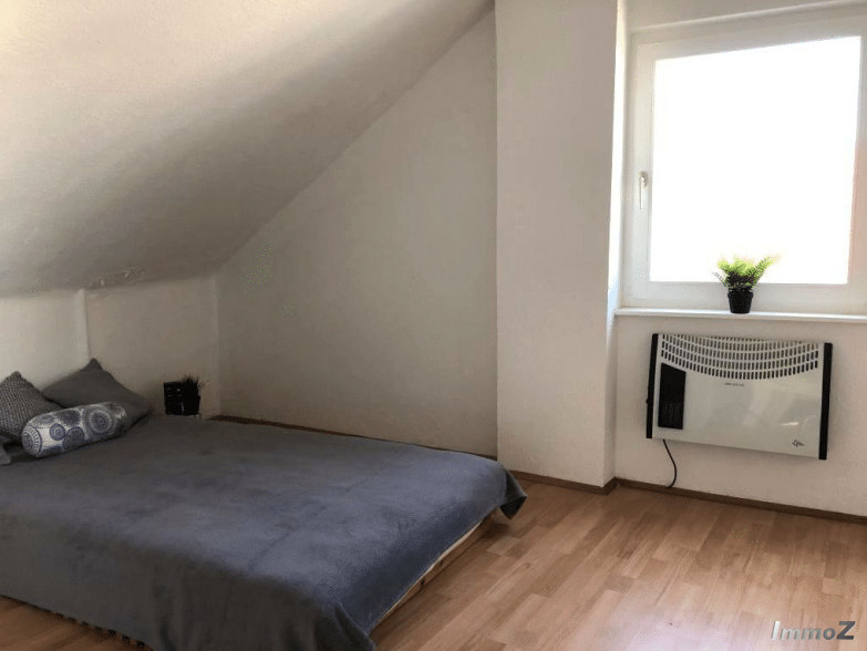 zimmer1