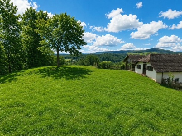 Blick ins Hügelland 2