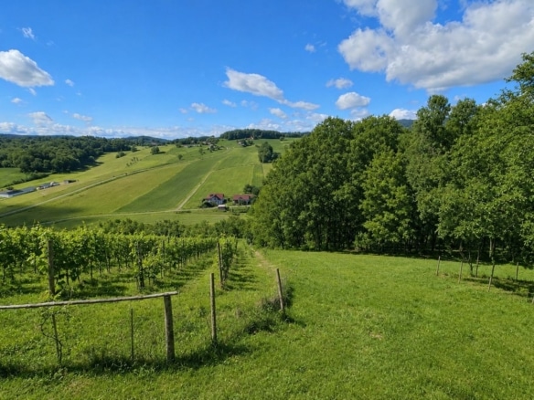 Blick zum eigenen Wald und Hügellandschaften