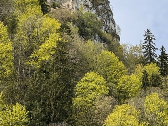 36_Ruine_IMG_6092
