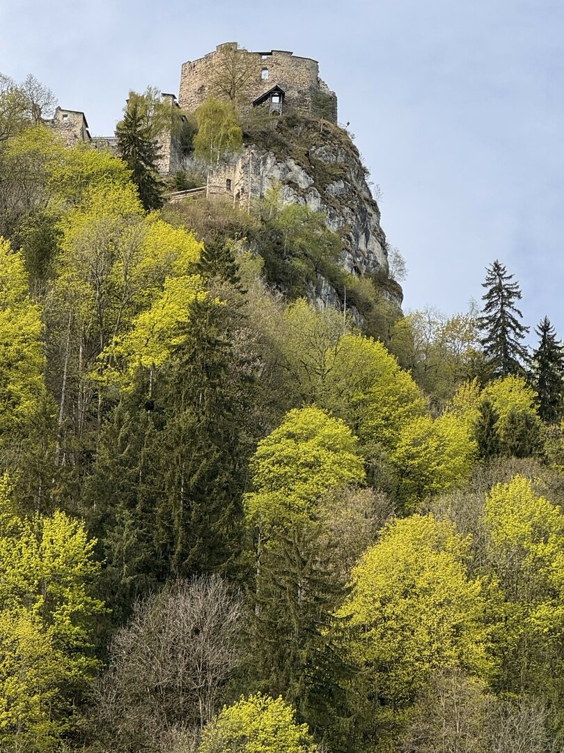 36_Ruine_IMG_6092
