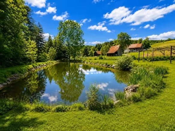 Idyllisches Landstück mit eigenem Fischteich