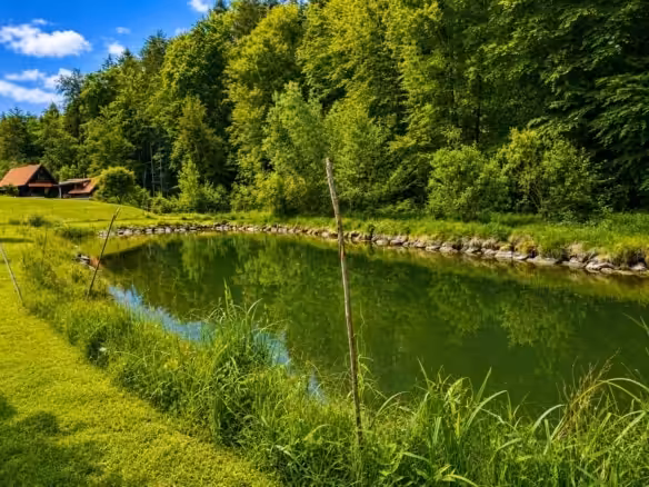 Teich 1 mit ca 570m²