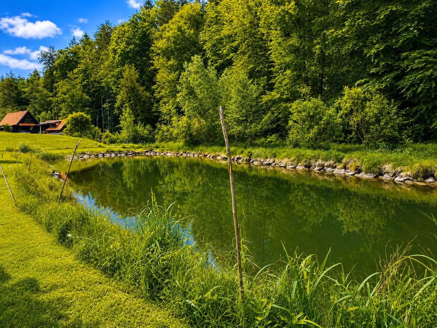Teich 1 mit ca 570m²