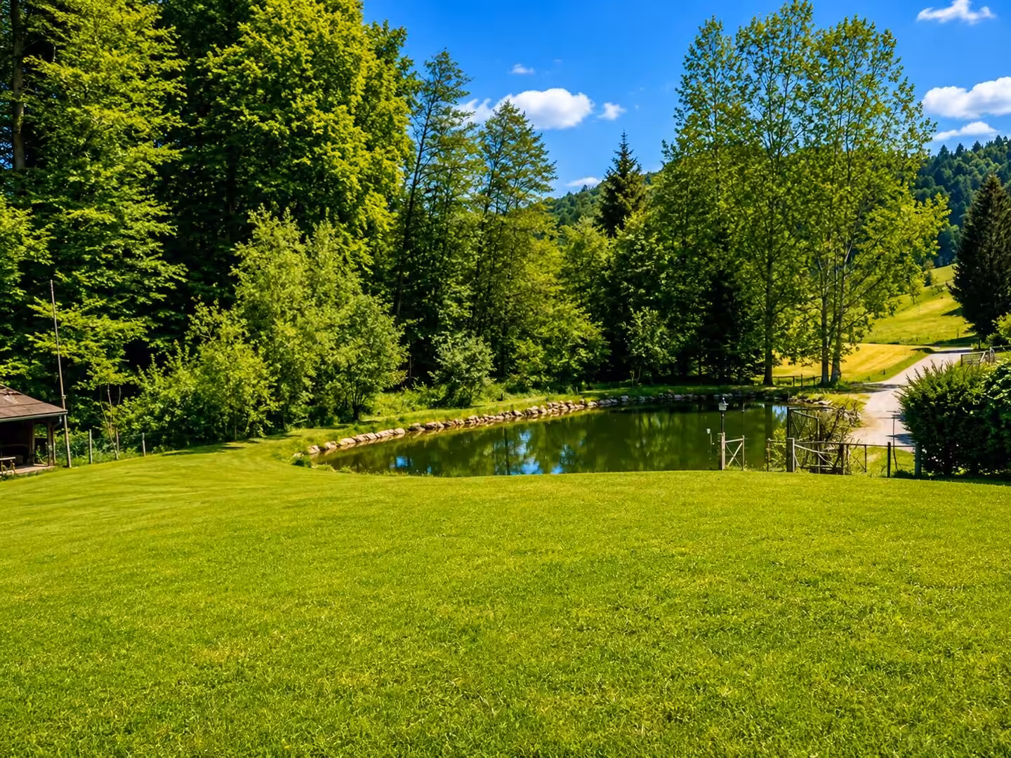Blick zu Teich