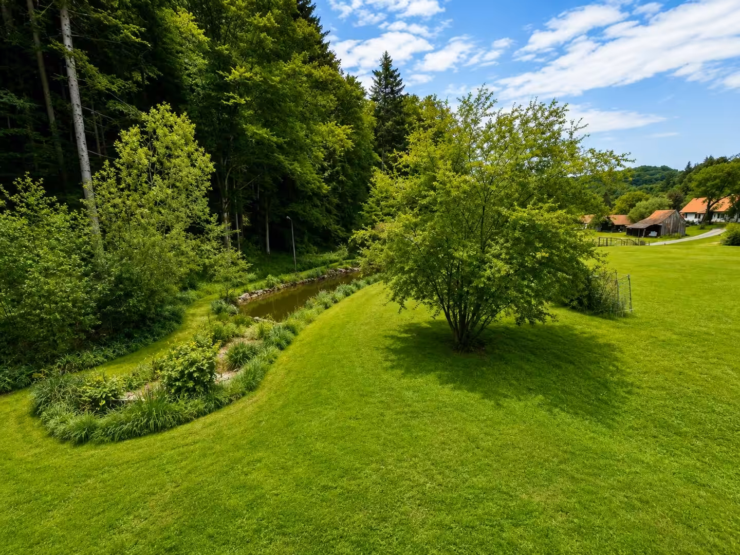 Ansicht Teich