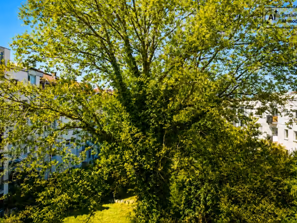 Blick von der Dachterrasse